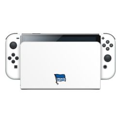 Folien für Spielekonsolen matt