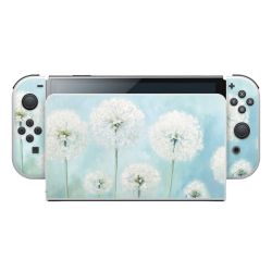 Foils for Consoles matt