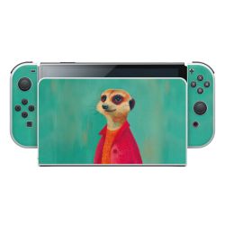 Foils for Consoles matt