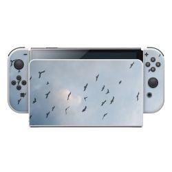 Folier Konsoler matt