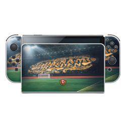 Folien für Spielekonsolen matt