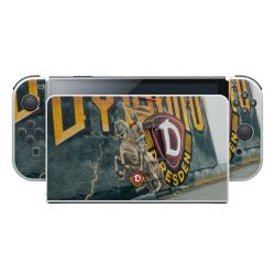 Folien für Spielekonsolen matt