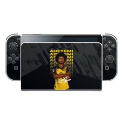 Foils for Consoles matt