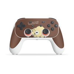 Folien für Controller matt