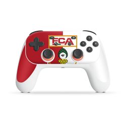 Folien für Controller matt