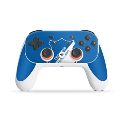 Folien für Controller matt