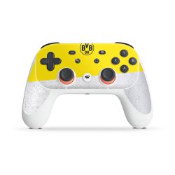 Folien für Controller matt