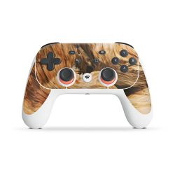 Folien für Controller matt