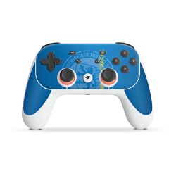 Folien für Controller matt