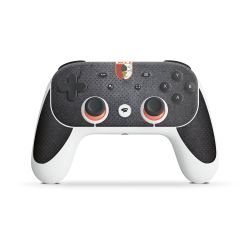 Folien für Controller matt