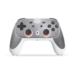 Folien für Controller matt