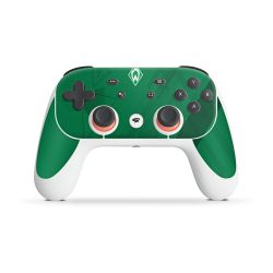 Folien für Controller matt