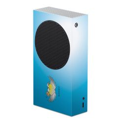 Folien für Spielekonsolen matt