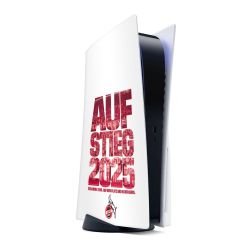 Folien für Spielekonsolen matt