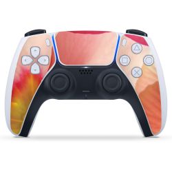 Folien für Controller matt