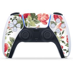 Folien für Controller matt