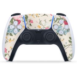 Folien für Controller matt