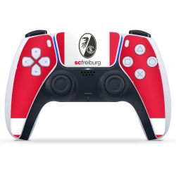 Folien für Controller matt