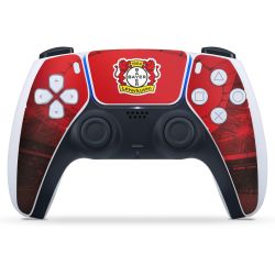 Folien für Controller matt