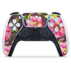 Folien für Controller matt