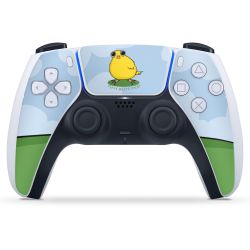 Folien für Controller matt