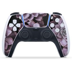 Folien für Controller matt