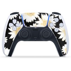 Folien für Controller matt