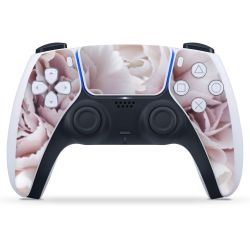 Folien für Controller matt