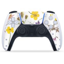 Folien für Controller matt