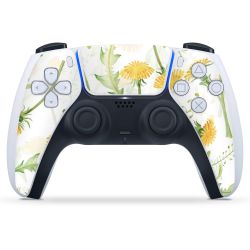 Folien für Controller matt