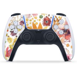 Folien für Controller matt