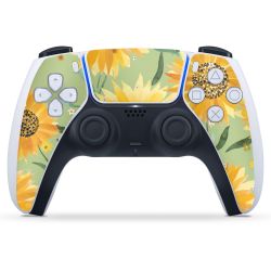 Folien für Controller matt