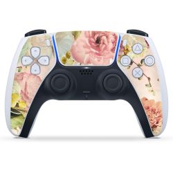 Folien für Controller matt