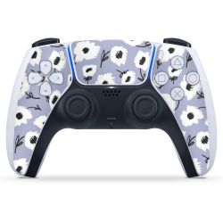 Folien für Controller matt