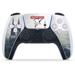 Folien für Controller matt