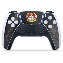 Folien für Controller matt