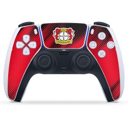 Folien für Controller matt