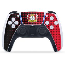 Folien für Controller matt