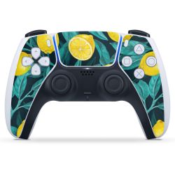 Folien für Controller matt