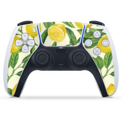 Folien für Controller matt