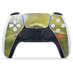 Folien für Controller matt