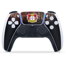 Folien für Controller matt