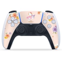 Folien für Controller matt