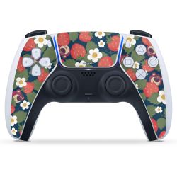 Folien für Controller matt