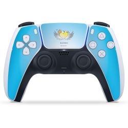 Folien für Controller matt