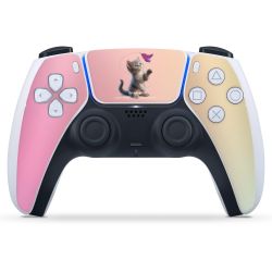 Foils for Controller matt