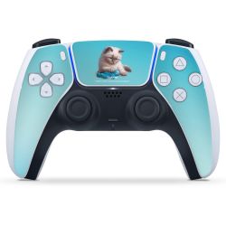 Foils for controller matt