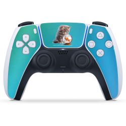 Foils for controller matt