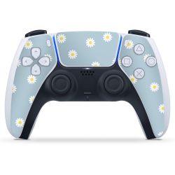 Foils for Controller matt