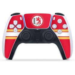 Folien für Controller matt